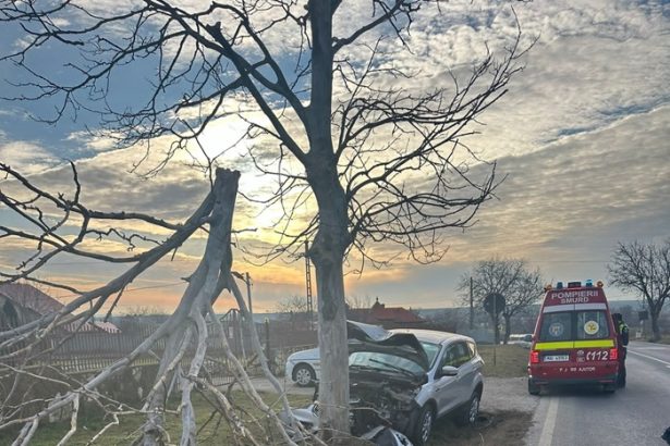 un sofer din tulcea a salvat un caine de la moarte dar a ajuns el la spital 6788bbc91a39f