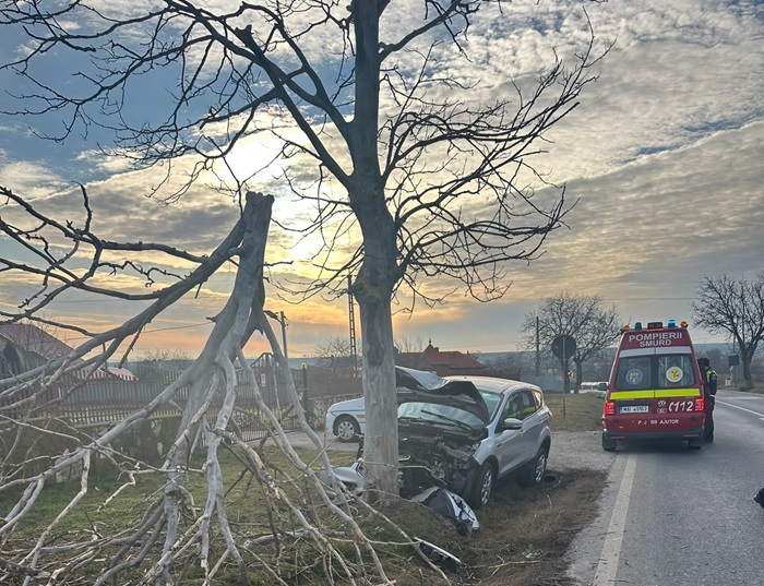 un sofer din tulcea a salvat un caine de la moarte dar a ajuns el la spital 6788bbc91a39f