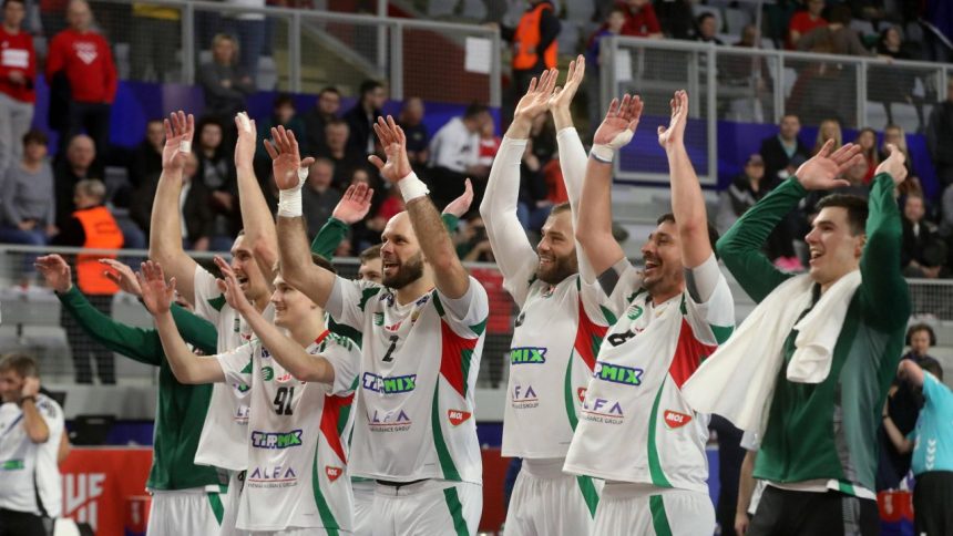 ungaria s a calificat in sferturile de finala ale campionatului mondial de handbal masculin 679675b0349c9