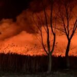 update incendiu puternic in delta dunarii in zona localitatii sulina detalii oficiale de la pompieri 6778df531da97