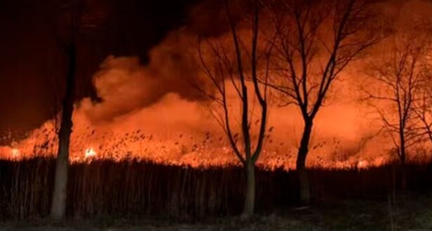 update incendiu puternic in delta dunarii in zona localitatii sulina detalii oficiale de la pompieri 6778df531da97