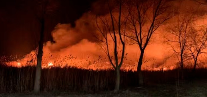 update incendiu puternic in delta dunarii in zona localitatii sulina detalii oficiale de la pompieri 6778df531da97