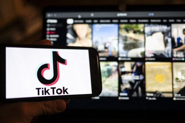 val de ura pe tiktok raspandit de ultranationalistii algerieni la adresa frantei mai multi influenceri au fost arestati 679748d0aa683