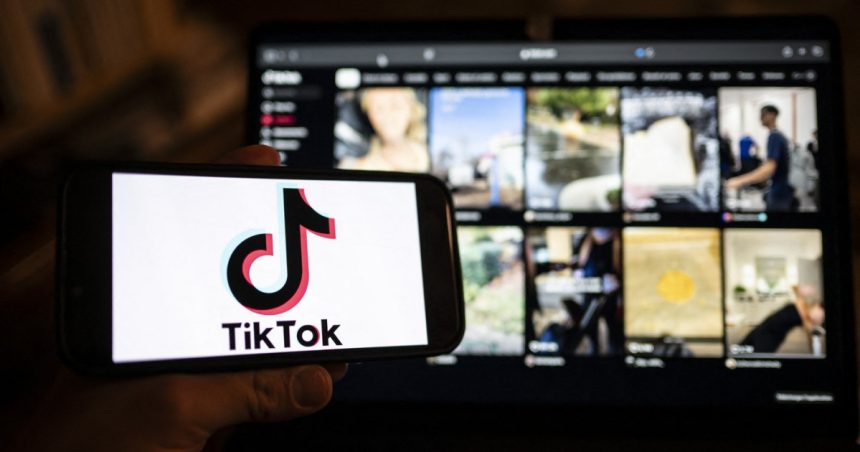 val de ura pe tiktok raspandit de ultranationalistii algerieni la adresa frantei mai multi influenceri au fost arestati 679748d0aa683
