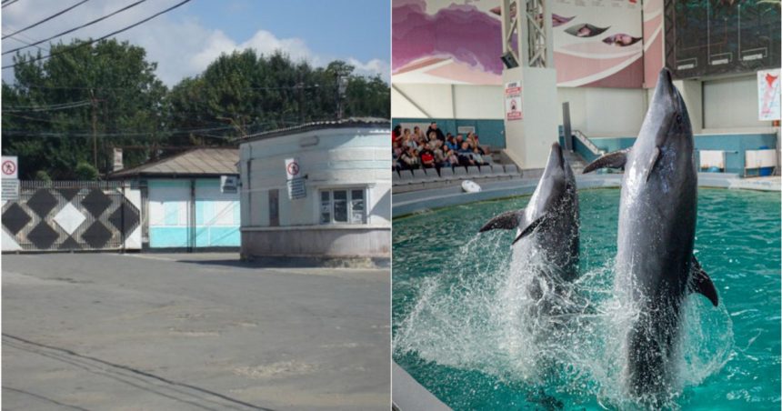 video de la detinuti la delfini gelu danut dinca fostul sef al penitenciarului poarta alba numit la conducerea delfinariului din constanta 67934da188b60