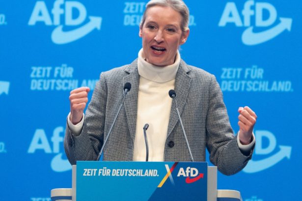 video extrema dreapta germana anunta planuri radicale sefa afd vom redeschide nord stream si vom darama turbinele eoliene 67850fc2132d2