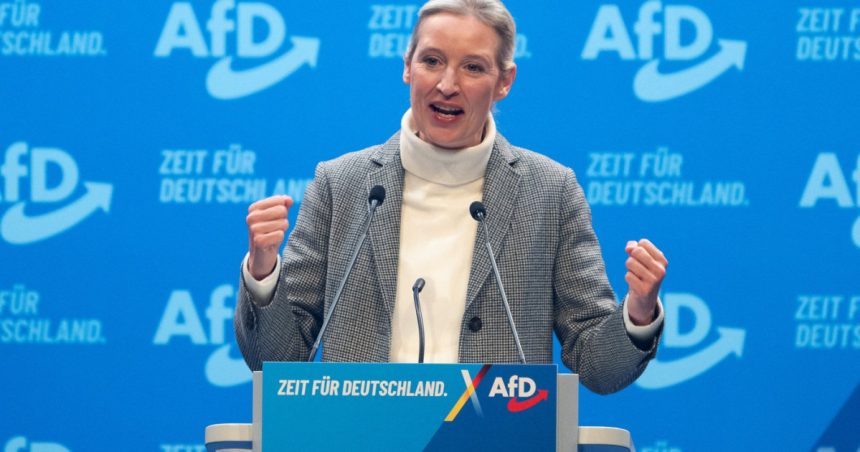 video extrema dreapta germana anunta planuri radicale sefa afd vom redeschide nord stream si vom darama turbinele eoliene 67850fc2132d2