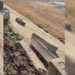 Faleza din Râmnicu Vâlcea, vandalizată; Poliția a deschis o anchetă și caută mai mulți tineri responsabili de distrugeri. 3 video faleza din ramnicu valcea vandalizata politistii au deschis o ancheta si cauta mai multi tineri care ar fi vinovati de distrugeri 6798a55089f8e