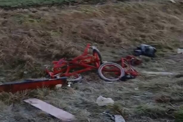 video imagini socante dupa accidentul cu doi morti de la cobadin calul e mort aici masina a fost luata a disparut 677ce8d66a2cf
