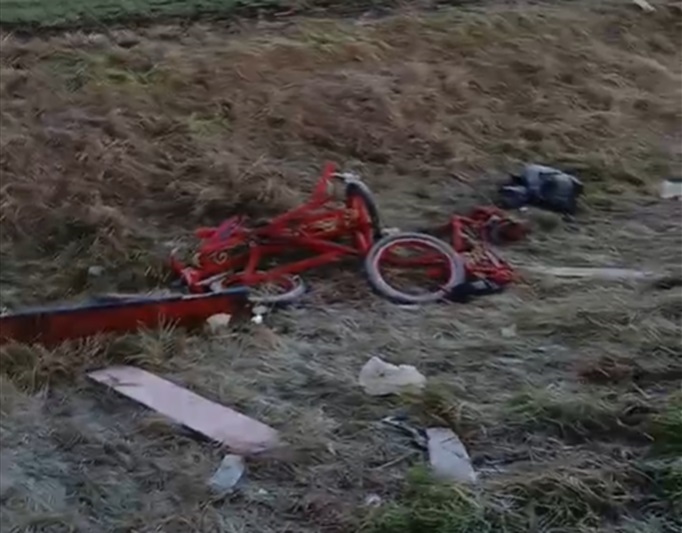 Imagini șocante după accidentul cu doi morți de la Cobadin: calul e mort aici, mașina a fost luată, a dispărut 1 video imagini socante dupa accidentul cu doi morti de la cobadin calul e mort aici masina a fost luata a disparut 677ce8d66a2cf