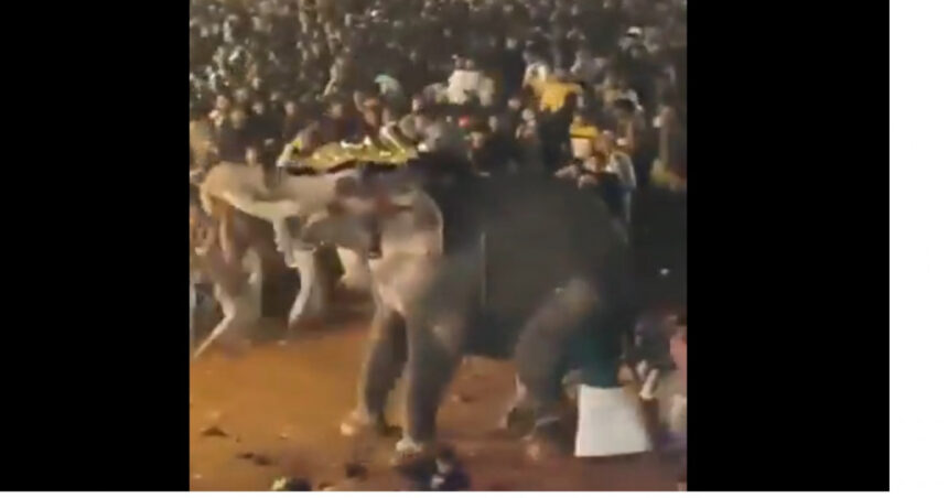 Peste 20 de persoane au fost rănite în India după ce un elefant a devenit violent în timpul unui festival religios. 1 video peste 20 de persoane au fost ranite in india dupa ce un elefant a devenit violent in timpul unui festival religios 677e9149ee36f