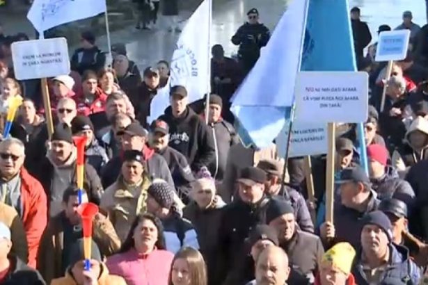 video protest de amploare la santierul naval mangalia 1 400 de oameni risca sa ramana fara locuri de munca psihic o sa cada toata lumea 6799d03f89ebe