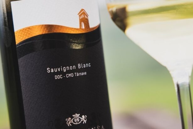 vinul zilei un sauvignon blanc discret si elegant bine sustinut de aciditate si mineralitate savuros alaturi de branzeturi de capra carne de pui si curcan fructe de mare sau salate 677f76aea3fe7