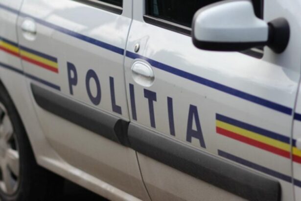 zeci de politisti protesteaza in fata sediului ipj impotriva ordonantei trenulet 677e62dfbf633