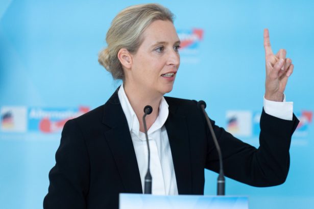 alegeri in germania alice weidel isi lauda rezultatul istoric obtinut de afd si propune o alianta cu cdu 67bb756205663