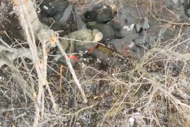 analiza fortele nord coreene cea mai recenta armata de unica folosinta destramata in razboiul rusiei impotriva ucrainei 67a87e1299893