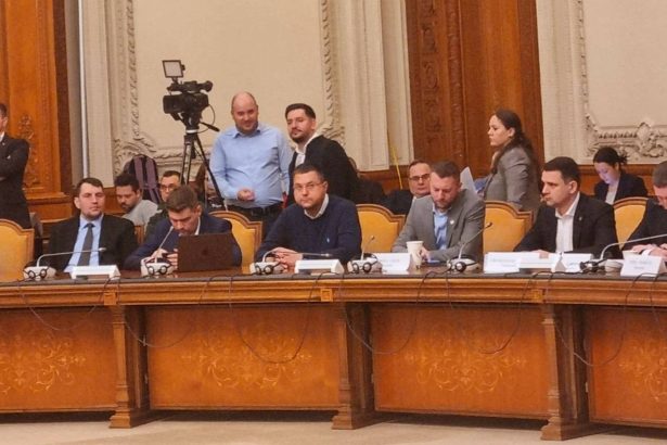bugetul pentru transporturi adoptat in comisiile parlamentare crusoveanu pnl portul constanta se afla in prim plan 67a2394d78ca3