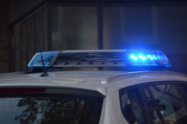 cadavrul unui barbat disparut inainte de craciun a fost gasit de politisti pe un camp 679fa3da2085f