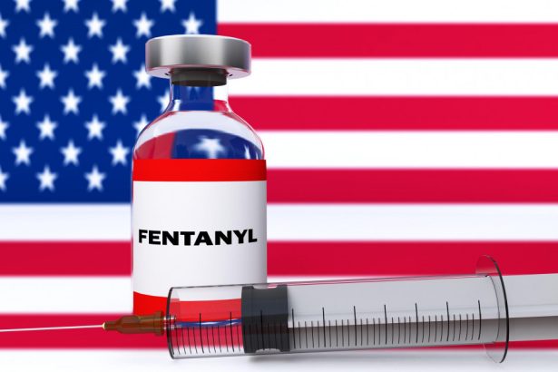 canada face o prima concesie in fata lui trump si numeste un responsabil din serviciile secrete care va lupta cu traficul de fentanil 67ac613aad61b