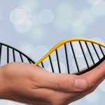cancerul de prostata si mostenirea genetica 67b628bbcf848
