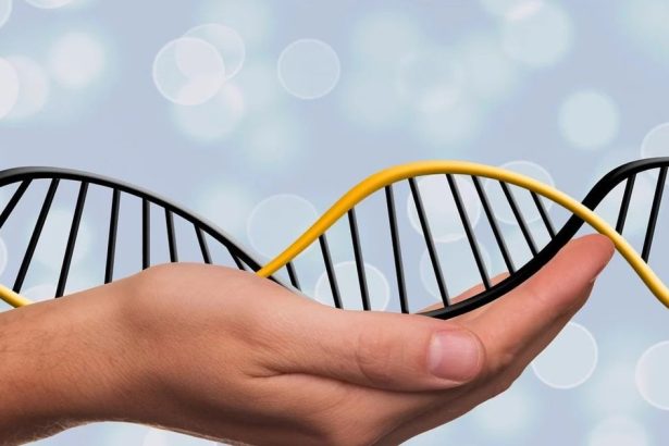 cancerul de prostata si mostenirea genetica 67b628bbcf848