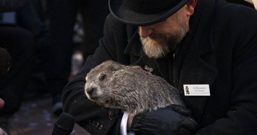 Cât va dura vremea de iarnă. Ce a prezis marmota Phil, cel mai cunoscut „meteorolog” din SUA 1 cat mai tine vremea de iarna ce a prezis marmota phil cel mai cunoscut meteorolog din sua 679f9efab9bfd