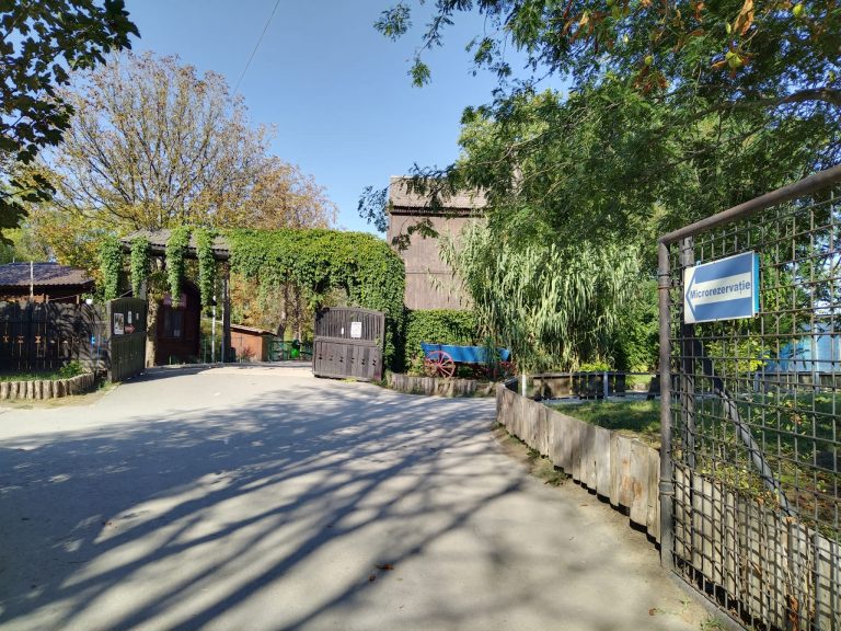 cat va costa amenajarea unui parc dendrologic si a unei zone lacustre langa delfinariu ce modificari vor fi aduse microrezervatiei 67b7a7ae1cf48