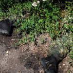 cati soldati rusi au murit in ucraina de la inceputul razboiului bbc si mediazona au reusit sa identifice numarul 67bde3b0396d5
