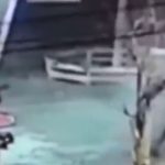 ce se stie despre barbatii care au tras cu kalasnikovul in bruxelles si apoi au fugit la metrou politia nu au legatura cu terorismul 67a37e8e3f316