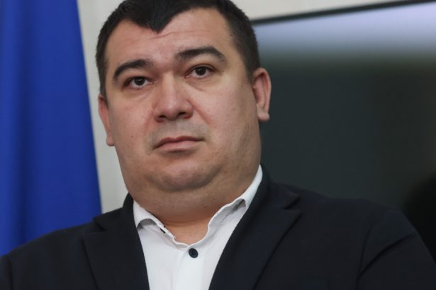 cine este noul sef interimar al aep dupa ce toni grebla a fost revocat de parlament 67c1db8e1f847