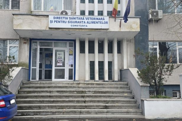 cladirea dsvsa constanta intra in reabilitare primaria a eliberat autorizatia de construire 67ac5b4635333