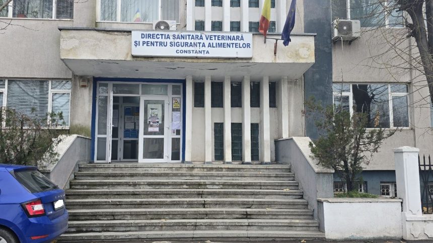 cladirea dsvsa constanta intra in reabilitare primaria a eliberat autorizatia de construire 67ac5b4635333