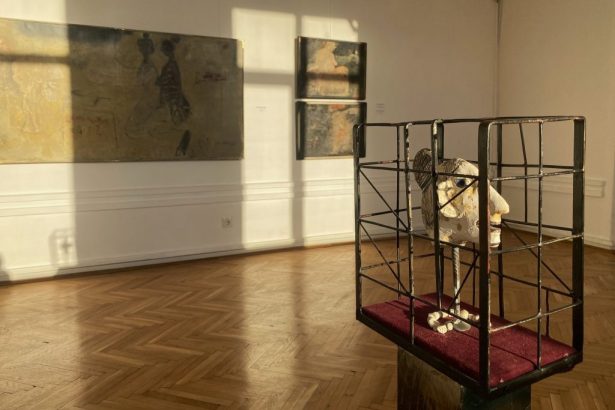 constantenii sunt asteptati la vernisajul expozitiei retrospective gheorghe i anghel la muzeul de arta 67a2bbbbf35af