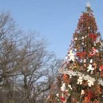 craciun in februarie un oras din romania inca aprinde luminitele si pastreaza ornamentele de la sarbatori explicatia autoritatilor 67ac613c5a2e3