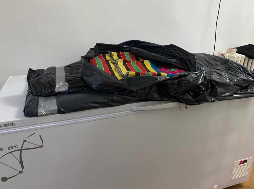 Criogenarea, o metodă inovatoare în conservare, utilizată de specialiștii Muzeului de Artă Populară Constanța 1 criogenarea o metoda inovatoare in conservare aplicata de specialistii muzeului de arta populara constanta 67a56932562a6