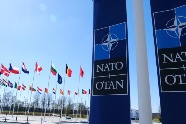 cum raspund tarile nato la dorinta lui trump de majorare a bugetului de aparare riscuri provocari si avantaje 67adc059f334a