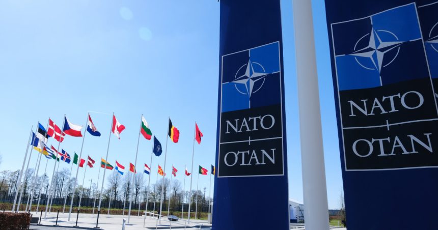 Răspunsul țărilor NATO la solicitarea lui Trump de creștere a bugetului de apărare: riscuri, provocări și avantaje 1 cum raspund tarile nato la dorinta lui trump de majorare a bugetului de aparare riscuri provocari si avantaje 67adc059f334a
