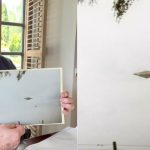 diamantul zburator din calvine misterul celei mai bune imagini cu un ozn pozele originale si martorii incidentului au disparut 67b06e2b2e647