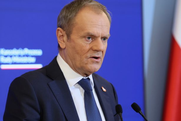 donald tusk anunta ca varsovia va investi o suma record in 2025 in ce sector vor merge cei mai multi bani 67aa1cc3ed281