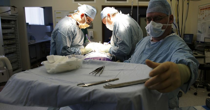 donarea de organe blocata de superstitii 100 de romani mor anual asteptand un transplant 67a4e527586e2