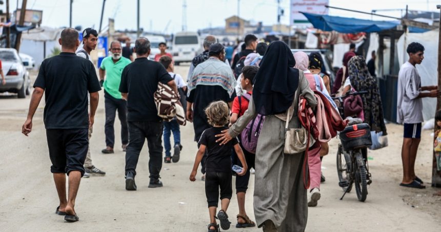 egiptul respinge propunerea de a conduce fasia gaza orice idee care eludeaza constantele pozitiei egiptene si arabe e inacceptabila 67bf5bb4ce4d3