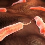 epidemie grava de holera in angola peste 4000 de persoane s au imbolnavit dintre care 150 au murit 67b4a8c22e287