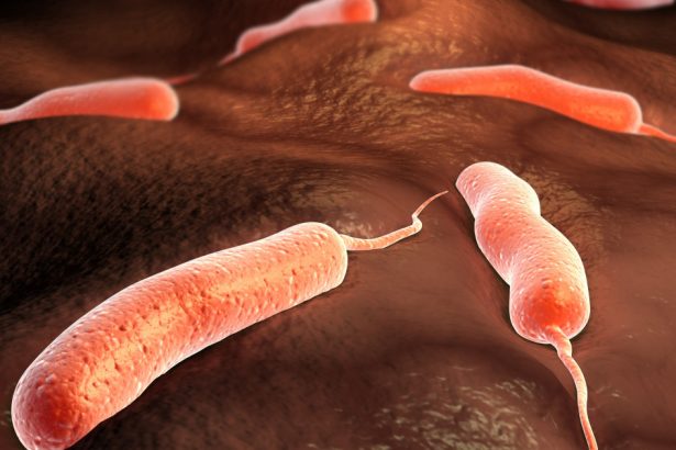 epidemie grava de holera in angola peste 4000 de persoane s au imbolnavit dintre care 150 au murit 67b4a8c22e287