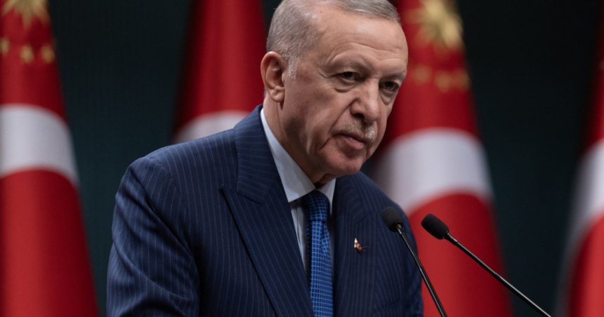 erdogan nu exclude ca turcia sa trimita trupe pentru mentinerea pacii in ucraina 67c183be2f7b9