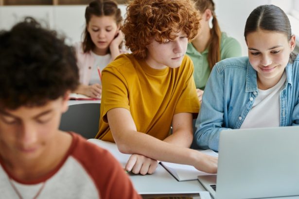 estonia a lansat prima initiativa din lume de a integra chatgpt edu in sistemul national de invatamant 67c01d1961aba