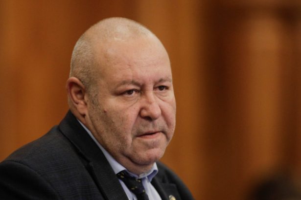 exclusiv senatorul pnl daniel fenechiu ii ia apararea laurei vicol in scandalul nordis a facut greseala sa se marite cu un infractor 67a4fe9f1fec0