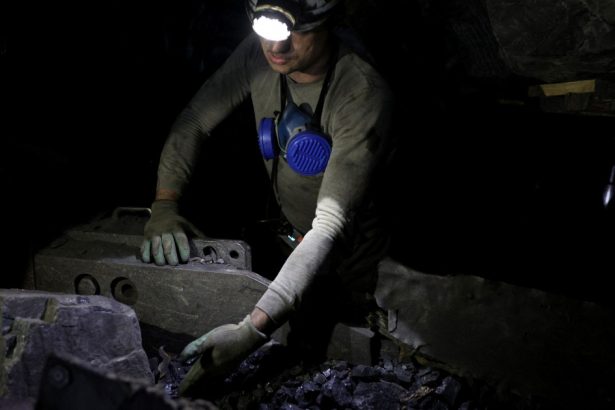 fiul lui viktor ianukovici face bani din vanzarea carbunelui exploatat in teritoriile ocupate ale ucrainei 67a2296c0158a