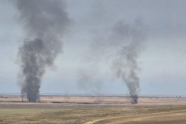 foto incendii de stuf in judetul tulcea focul continua sa arda in zona baia jurilovca iar autoritatile monitorizeaza situatia 67bb222bcffbb