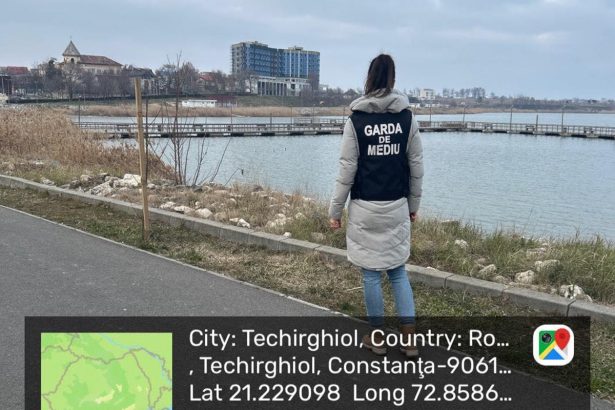 foto pasari salbatice moarte pe lacul techirghiol au fost duse in laborator pentru investigatii 67c005a5a9fb4