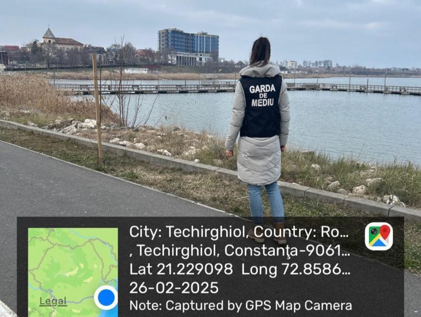 Păsări sălbatice moarte pe Lacul Techirghiol, duse în laborator pentru investigații. 1 foto pasari salbatice moarte pe lacul techirghiol au fost duse in laborator pentru investigatii 67c005a5a9fb4
